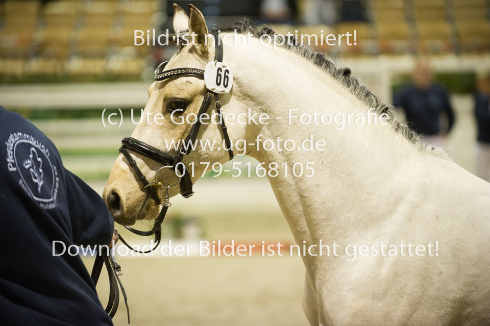 Grenzhoehes-Drago_03.jpg