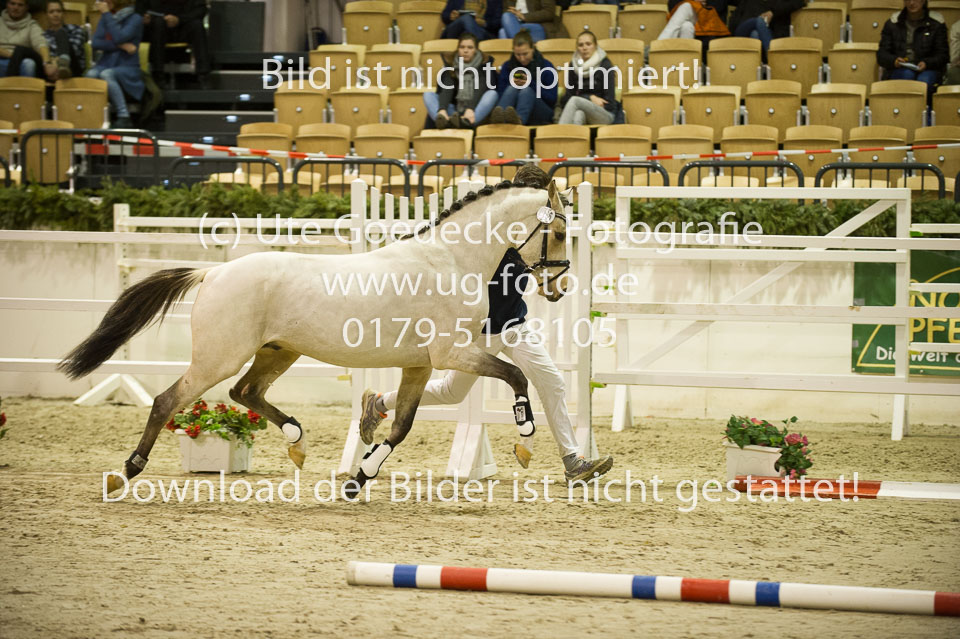 Grenzhoehes-Drago_05.jpg
