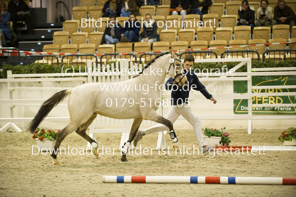 Grenzhoehes-Drago_08.jpg