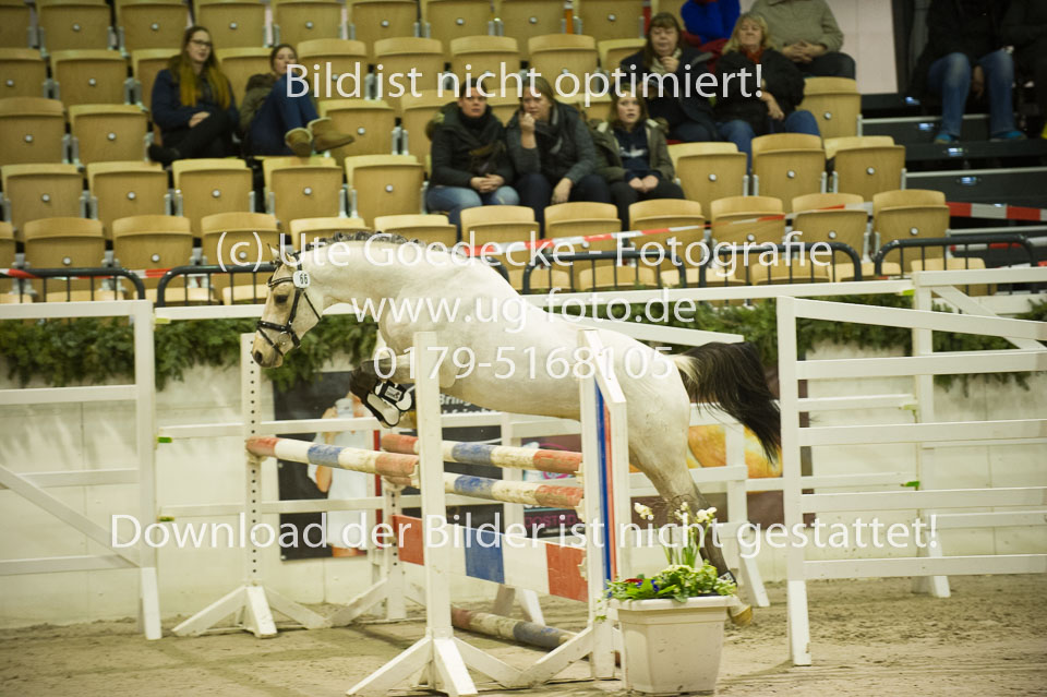Grenzhoehes-Drago_11.jpg