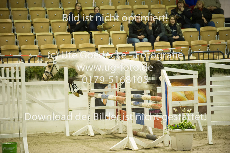 Grenzhoehes-Drago_12.jpg