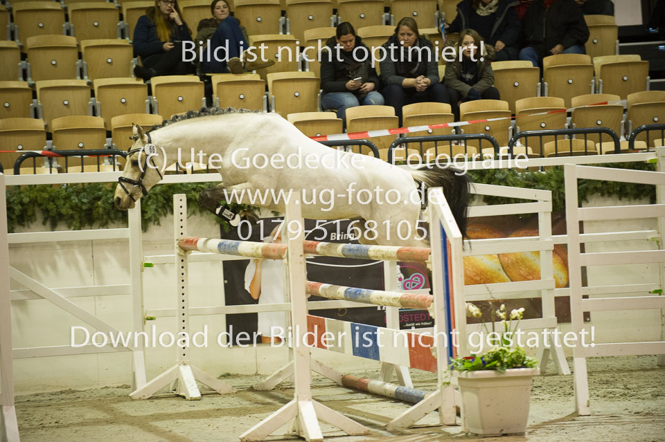 Grenzhoehes-Drago_16.jpg
