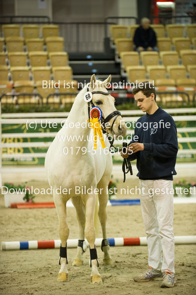 Grenzhoehes-Drago_21.jpg