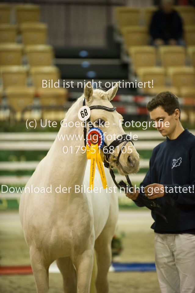 Grenzhoehes-Drago_22.jpg