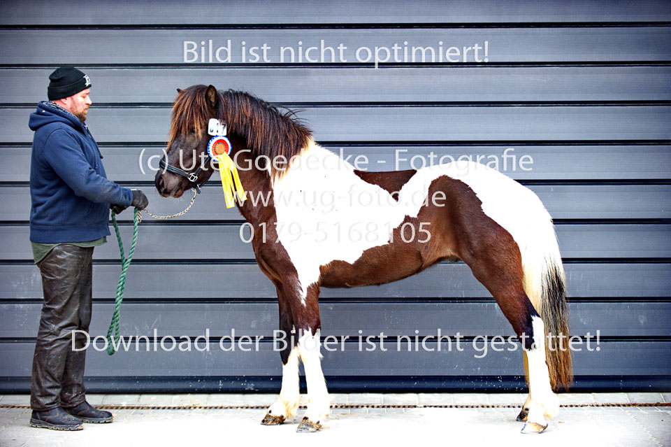 Kraftur-von-Heyden-_07b.jpg