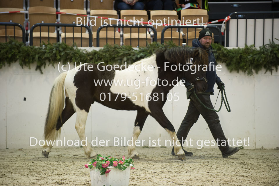 Kraftur-von-Heyden-_2.jpg