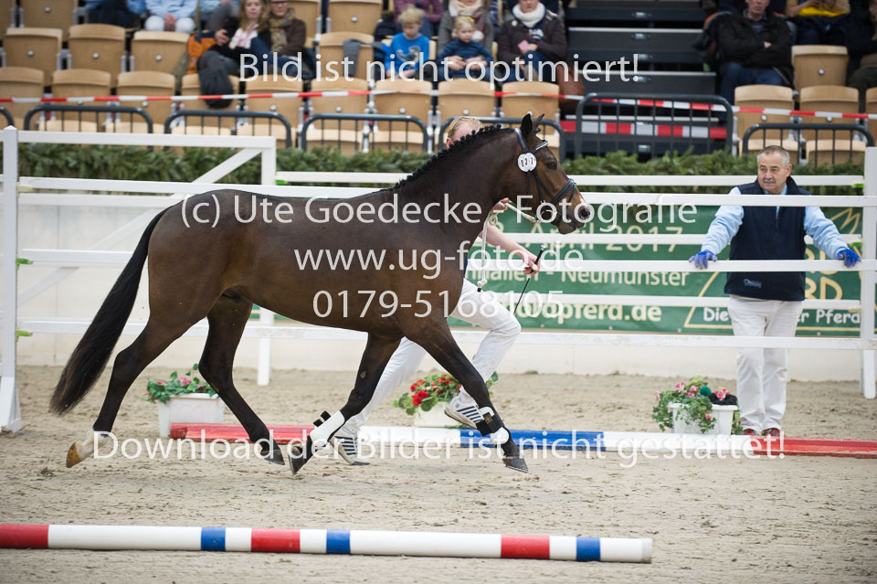 Luminahofs-Landmann_07.jpg
