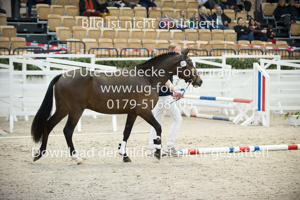 Luminahofs-Landmann_19.jpg