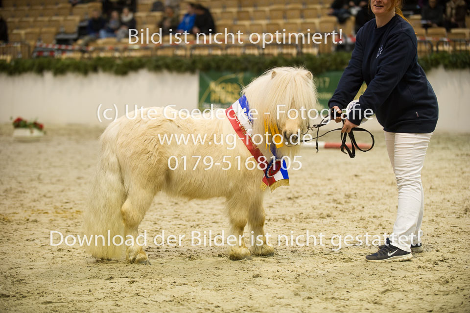 Meerhusen's-Zalando_07.jpg