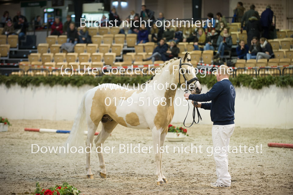 Movie-Star-Hoejgard_13.jpg