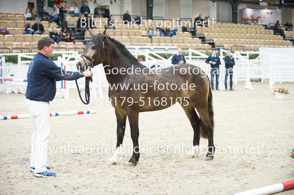 Möhlenbeeks-Biug-Roy-_04.jpg