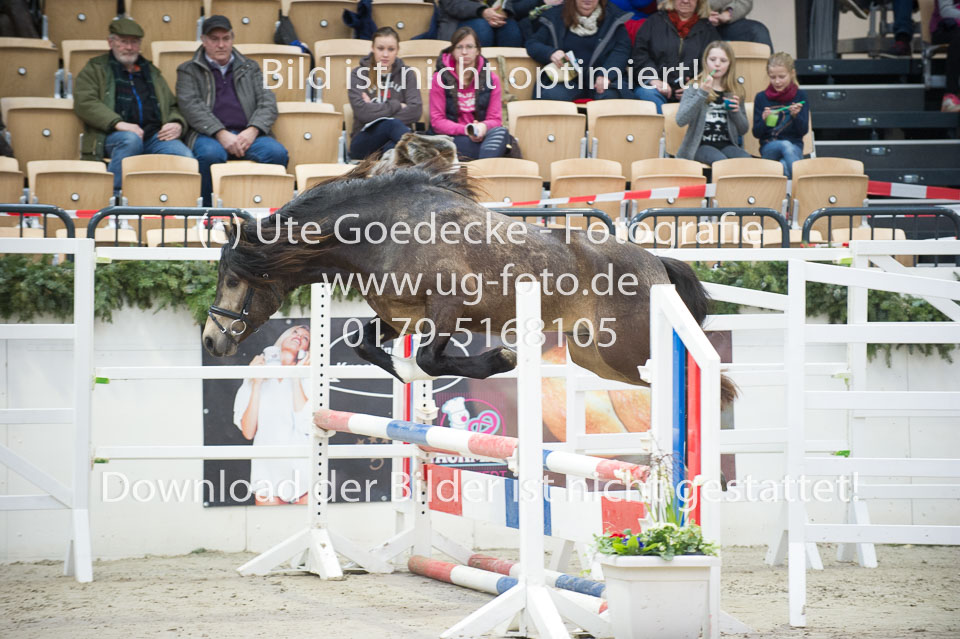 Möhlenbeeks-Biug-Roy-_16.jpg