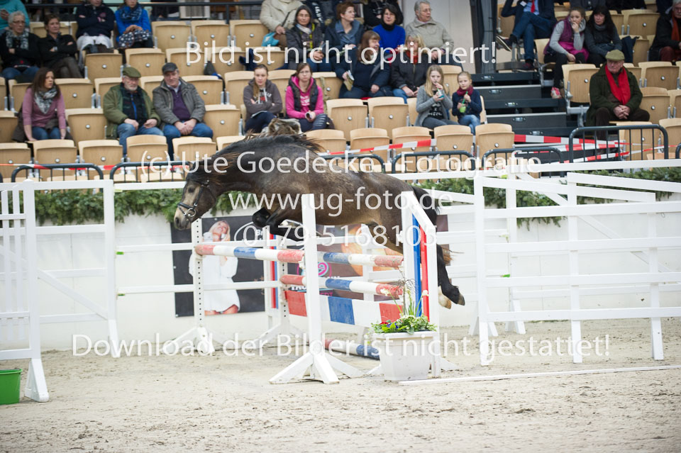 Möhlenbeeks-Biug-Roy-_18.jpg