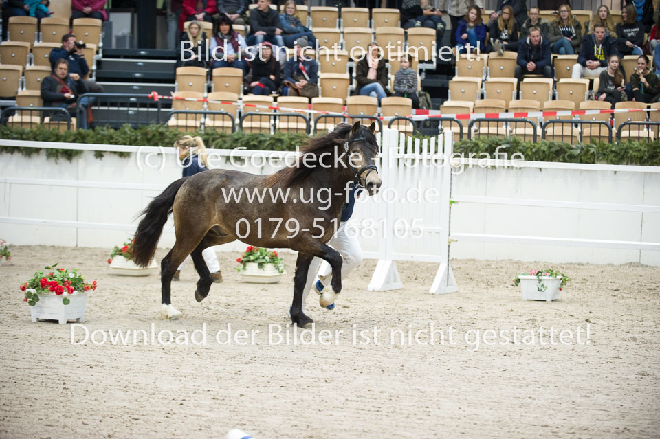 Möhlenbeeks-Biug-Roy-_20.jpg