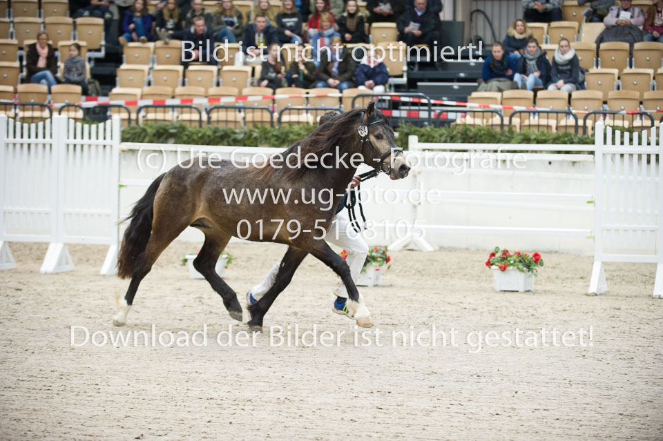 Möhlenbeeks-Biug-Roy-_21.jpg