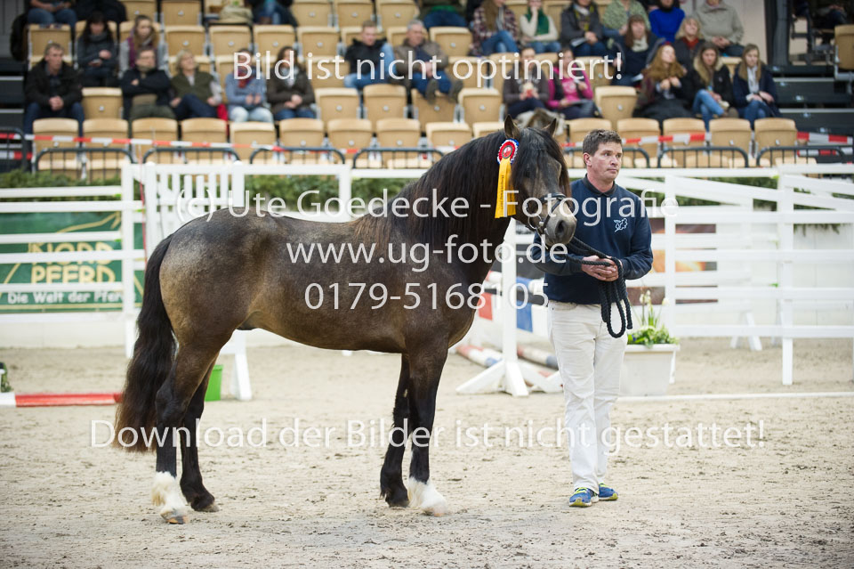 Möhlenbeeks-Biug-Roy-_28.jpg