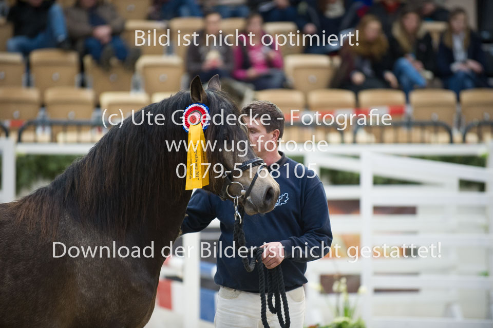 Möhlenbeeks-Biug-Roy-_29.jpg