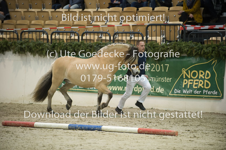 Stald-Kiels-Jargon_03.jpg