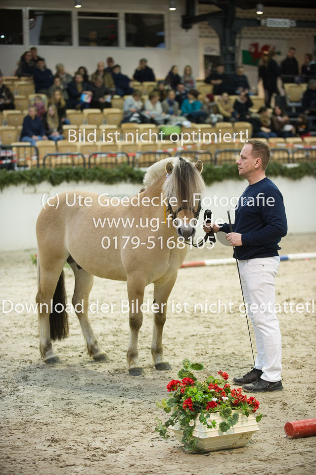 Stald-Kiels-Tegn_09.jpg