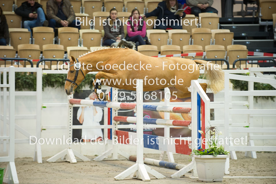 Steendieks-Commander-_07.jpg