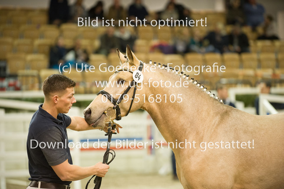 Steendieks-Concerto-_03.jpg