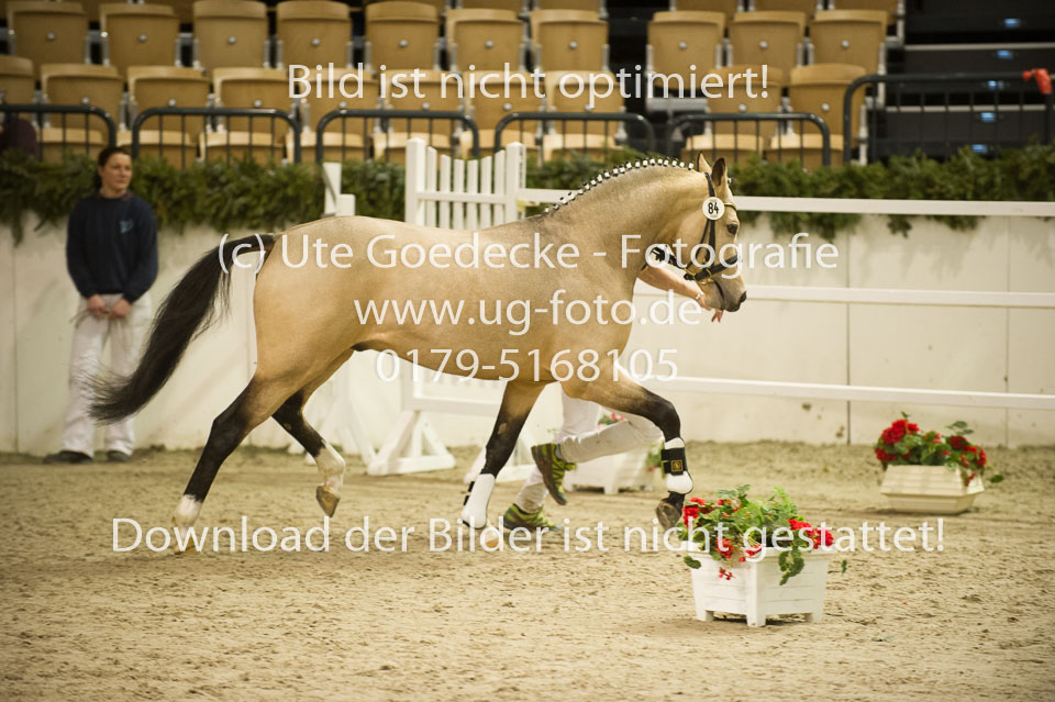 Steendieks-Concerto-_04.jpg