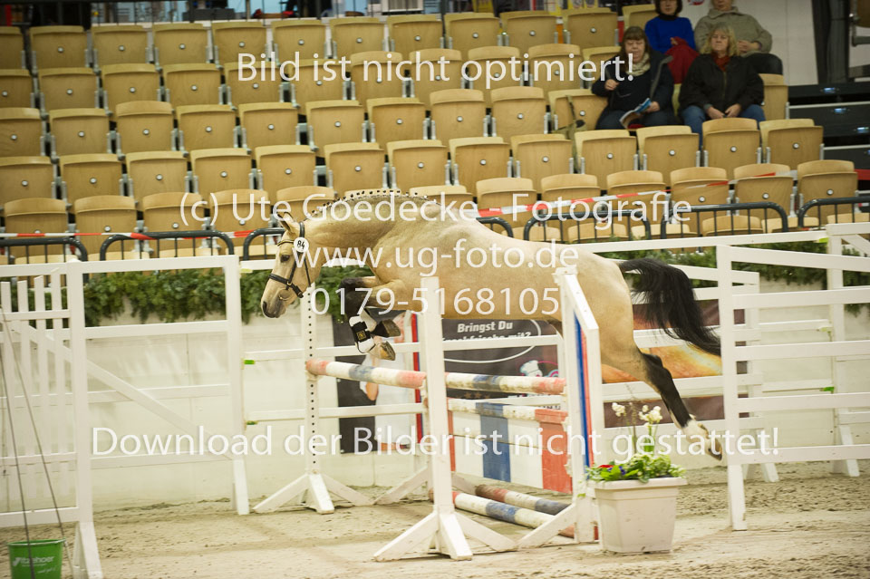 Steendieks-Concerto-_05.jpg