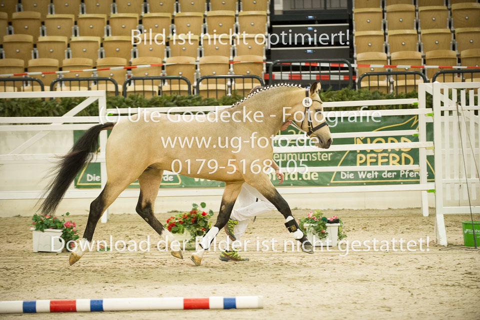 Steendieks-Concerto-_09.jpg