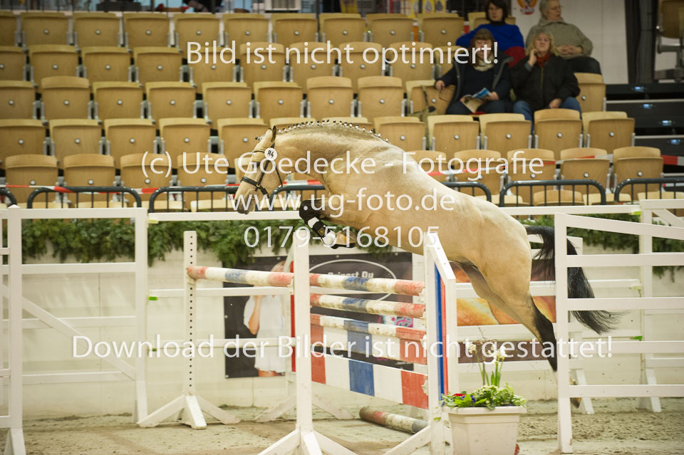 Steendieks-Concerto-_11.jpg