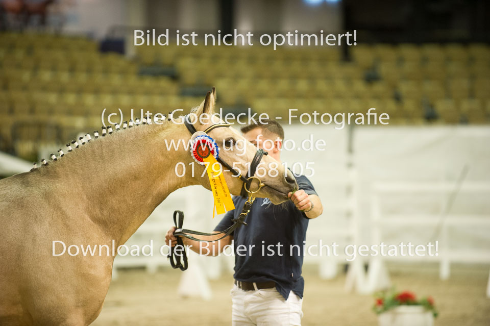 Steendieks-Concerto-_16.jpg