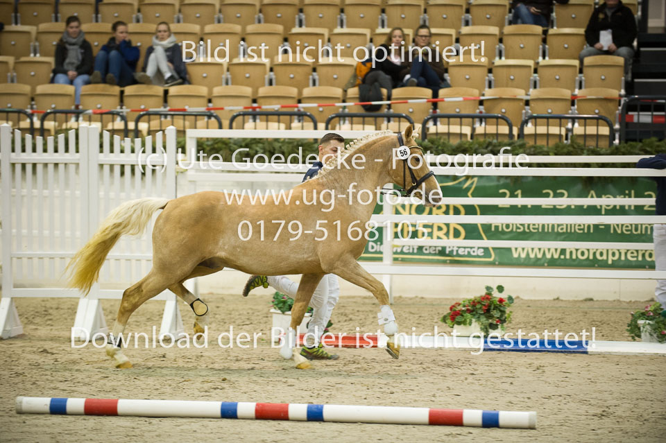 Steendieks-Dali-Gold_03.jpg