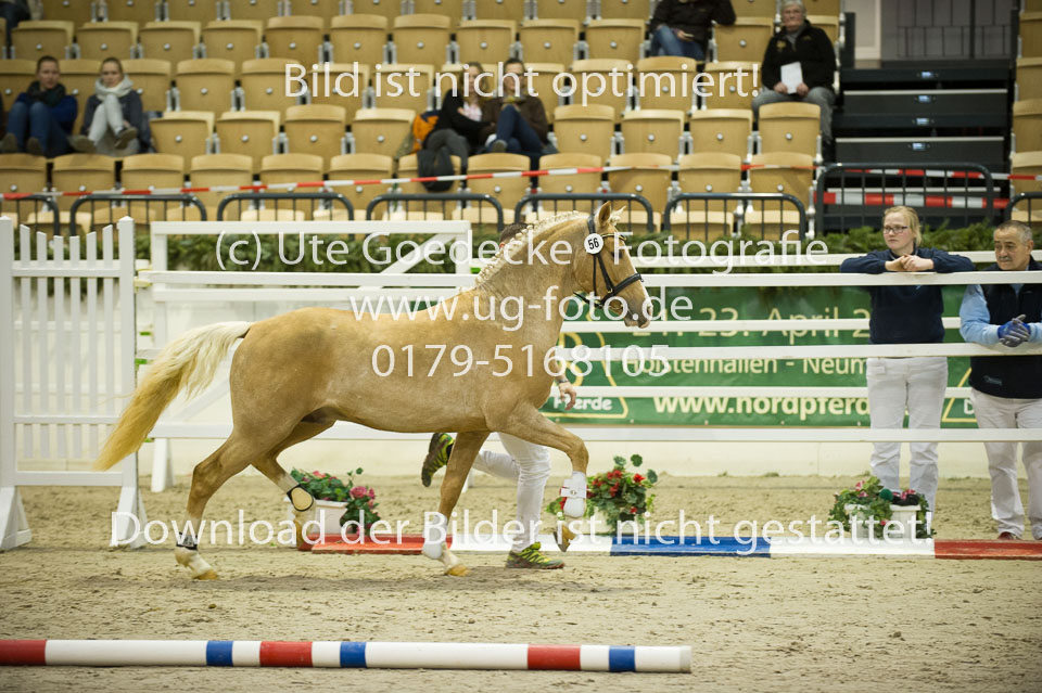 Steendieks-Dali-Gold_05.jpg