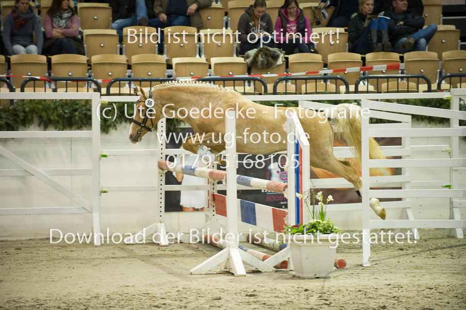 Steendieks-Dali-Gold_06.jpg