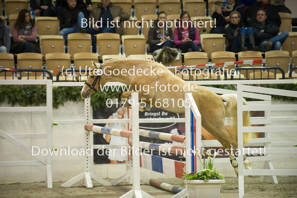 Steendieks-Dali-Gold_08.jpg