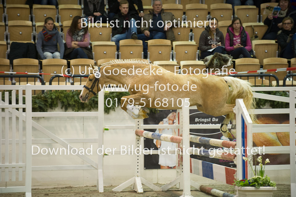 Steendieks-Dali-Gold_09.jpg