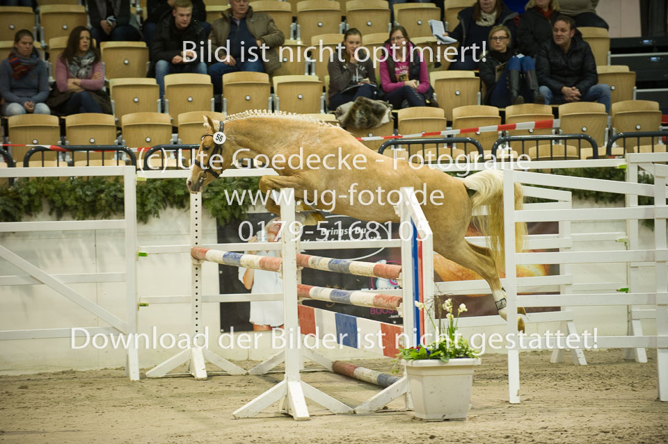 Steendieks-Dali-Gold_10.jpg