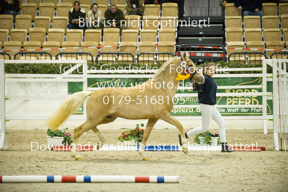 Steendieks-Dali-Gold_12.jpg