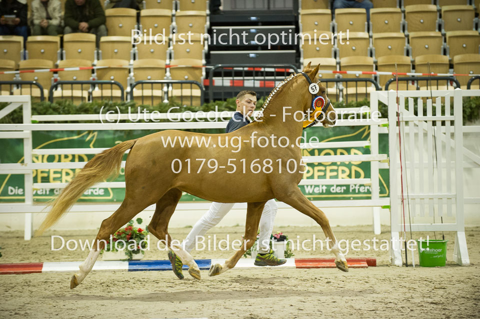 Steendieks-Dallas-_09.jpg