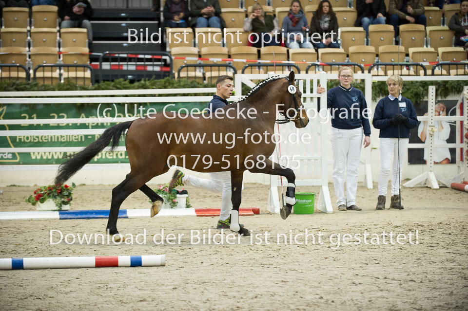 Steendieks-Delgano_02.jpg