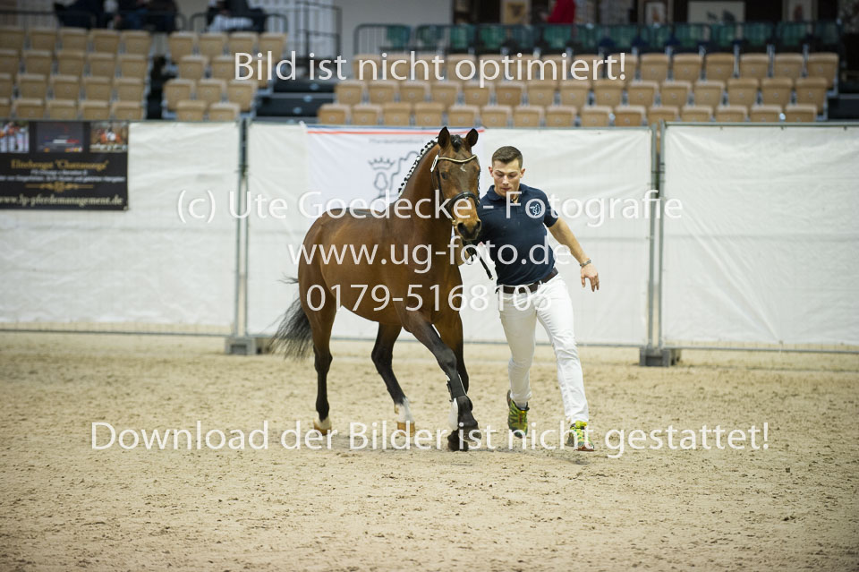 Steendieks-Delgano_03.jpg