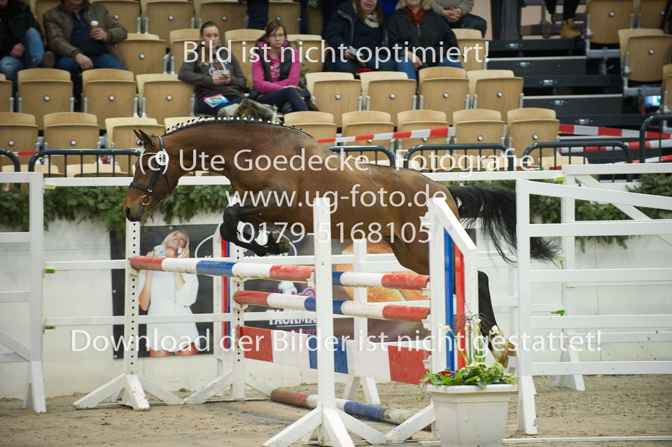 Steendieks-Delgano_05.jpg