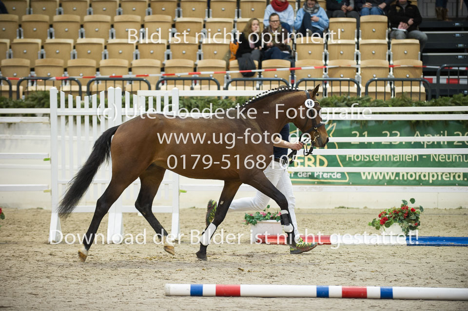 Steendieks-Delgano_07.jpg