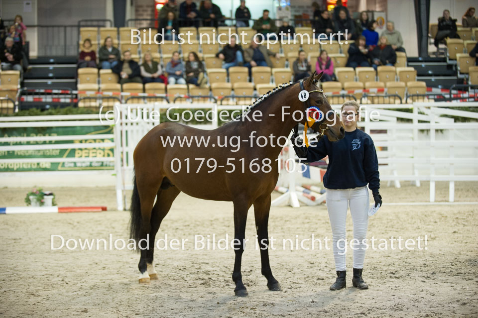 Steendieks-Delgano_08.jpg
