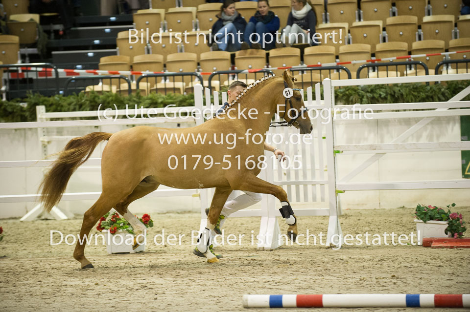 Steendieks-Derrick_02.jpg