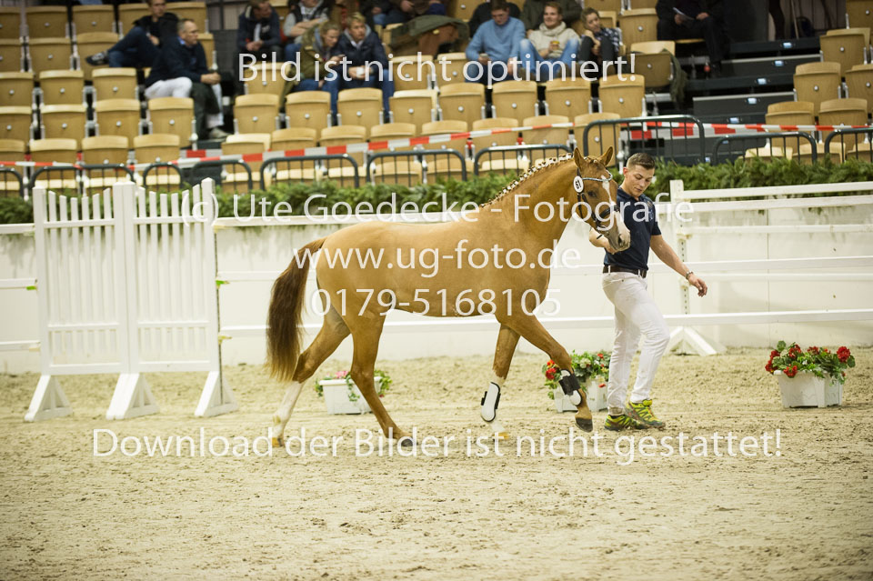 Steendieks-Derrick_04.jpg