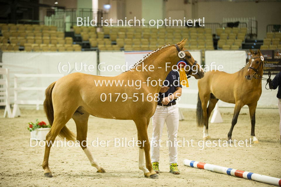 Steendieks-Derrick_08.jpg