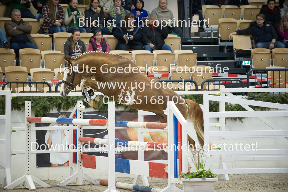 Steendieks-Donald-Trump_05.jpg