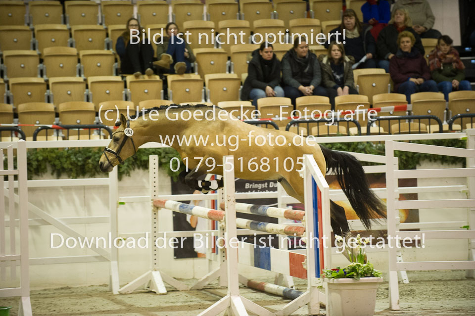 Steendieks-Dream-of-Gold_07.jpg