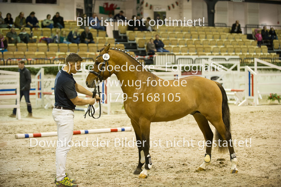 Steendieks-Dschinges-Khan_01.jpg