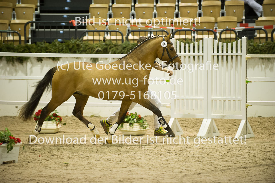 Steendieks-Dschinges-Khan_03.jpg